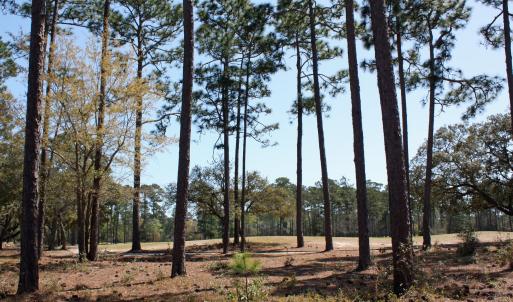 Beautiful Golf Vistas
