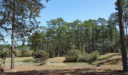 BP Pond View
