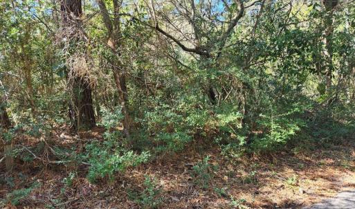 20240130024006877553000000-o