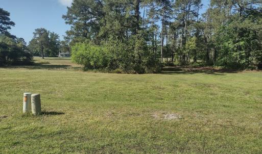 1731 Caracara LOT(2)