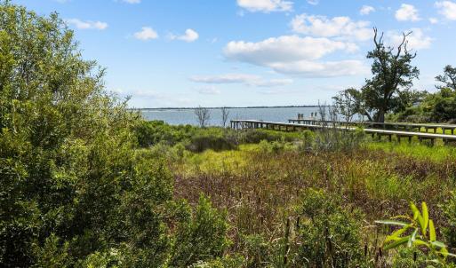 4-web-or-mls-1S3A1568