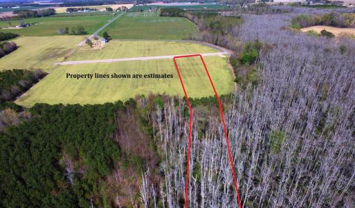 Lot 8-Aerial view with property lines
