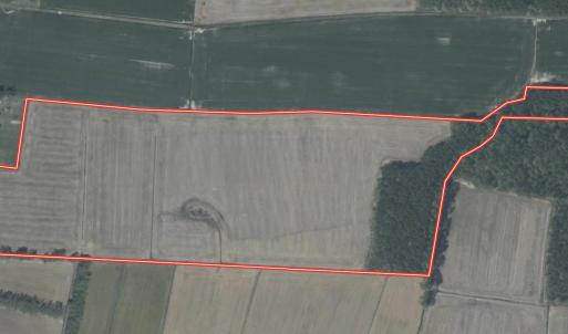 Aerial 1