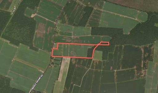 Aerial 2