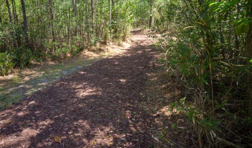 Brunswick Forest Ammenities-28