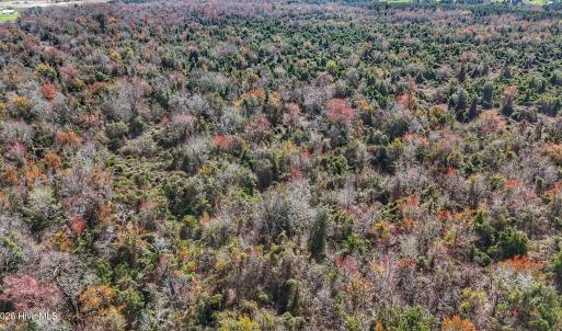 dji_fly_20260314_130936_0657_17735080335