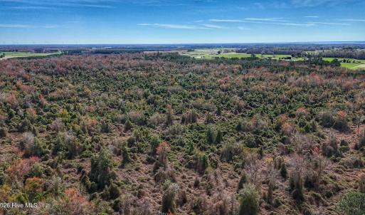 dji_fly_20260314_131018_0659_17735080326