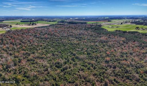 dji_fly_20260314_124922_0634_17735080401