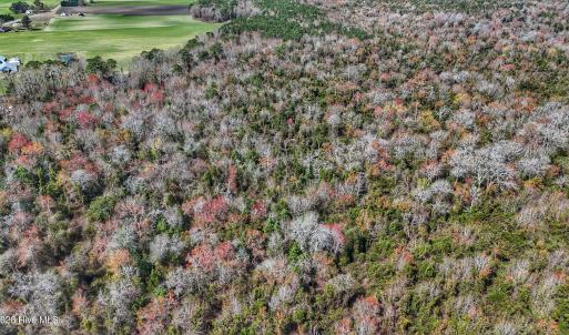 dji_fly_20260314_125534_0653_17735080348