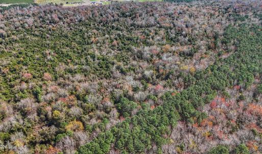 dji_fly_20260314_125022_0637_17735080393