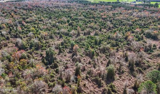 dji_fly_20260314_130956_0658_17735080330