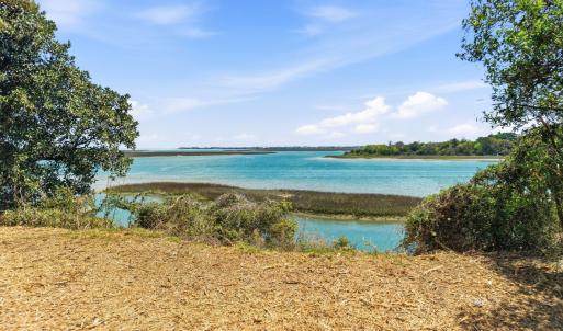 003_8612_bald_eagle_lane-14_917