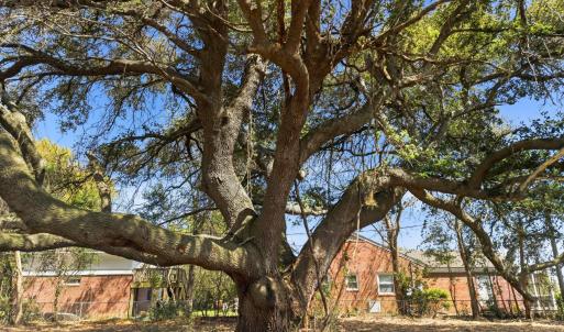 016_8612_bald_eagle_lane-13_771