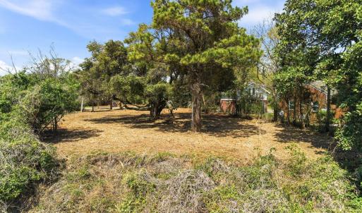 013_8612_bald_eagle_lane-10_229