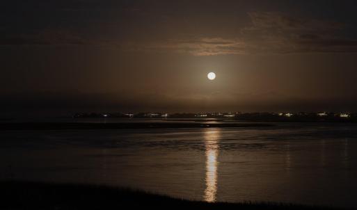 028_8612_bald_eagle_lane_full_moon-5_975