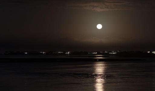 027_8612_bald_eagle_lane_full_moon-4_132