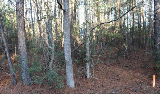 Property Corner, Path to Water