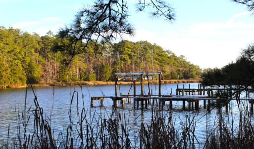 Neighbor's Dock