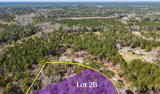 Lot 2 B in color