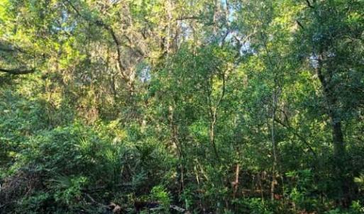 20230714043623708274000000-o