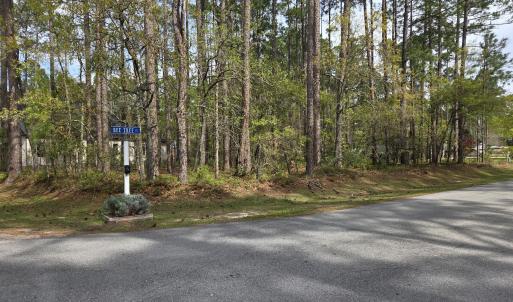 901 Bee Tree Ct lot photo