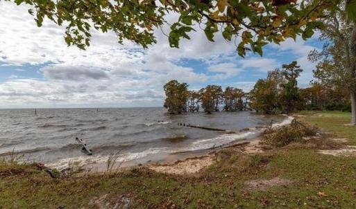 Community Park/Beach