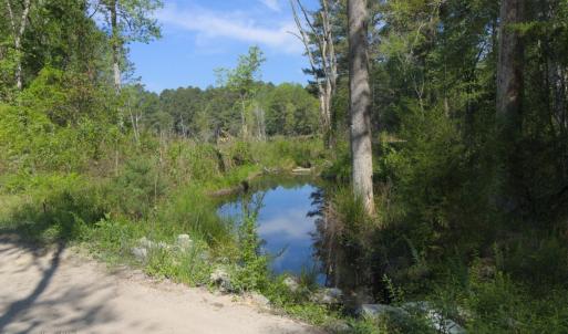 Ground Site 9 Pond from Kearns Alt 1