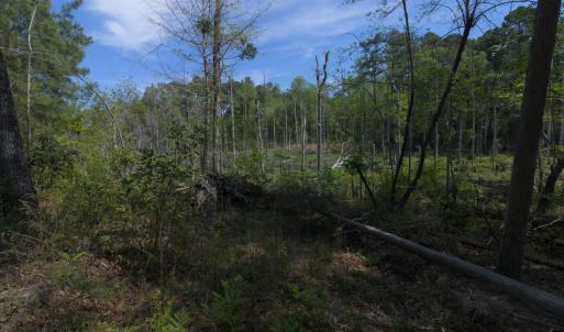 Ground Site 13 North Trail End