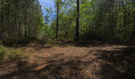 Ground Site 12 Trail Intersection N Faci