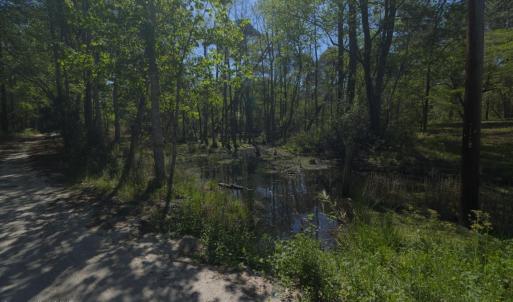 Ground Site 10 Facing South