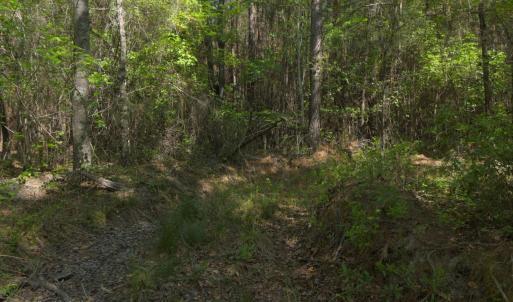 Ground Site 11 Access East Alt