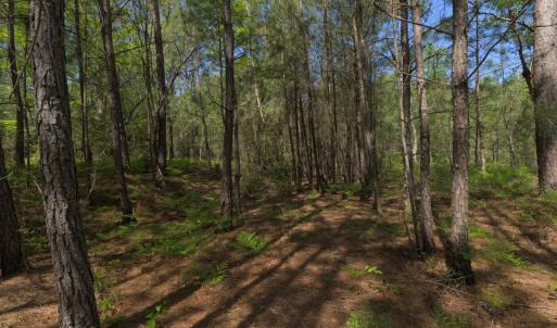 Ground Site 14 W Trail End