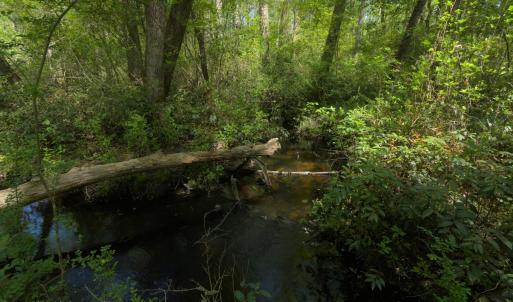 Ground Site 17 NW Creek Alt