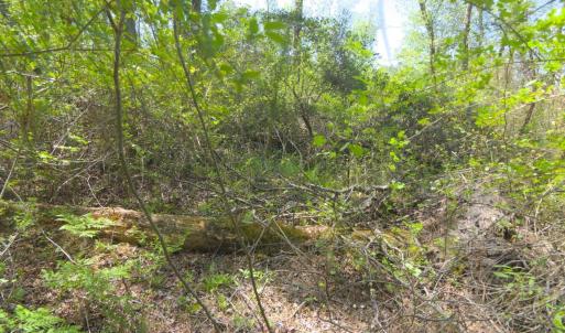 Ground Site 18 Rugged Terrain Context