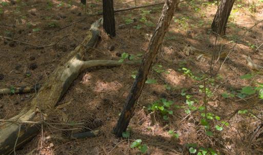 Ground Site 20 Fire Damage alt