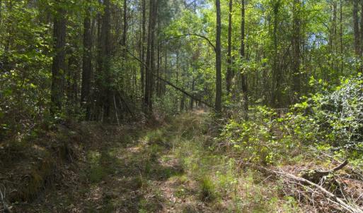 Ground Site 11 Access Turn East