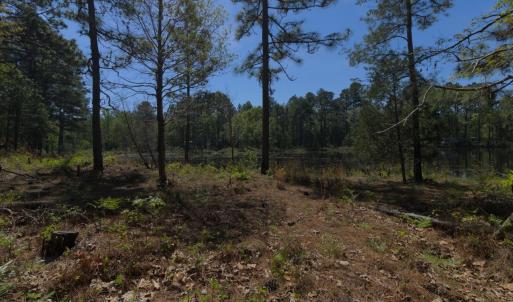 Ground Site 19 Rugged Border and Pond