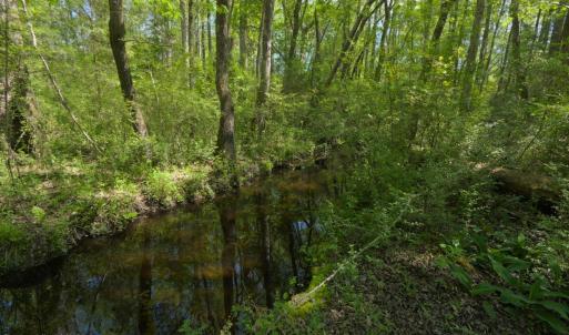 Ground Site 17 NW Creek