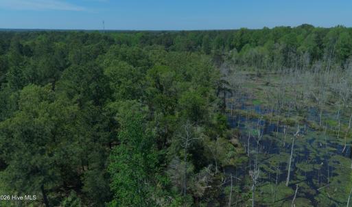 Aerial Tree Level NE Trail