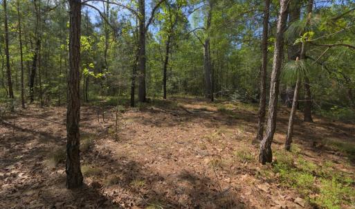 Ground Site 14 Open Area