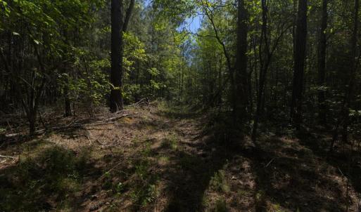 Ground Site 11 Access East Alt (2)