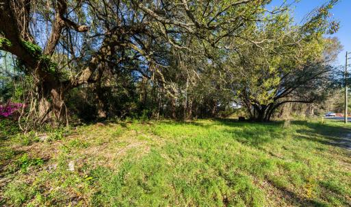 225MiddleSoundGround2