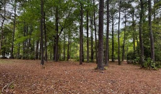 Image 7 - 521 Chatsworth Place