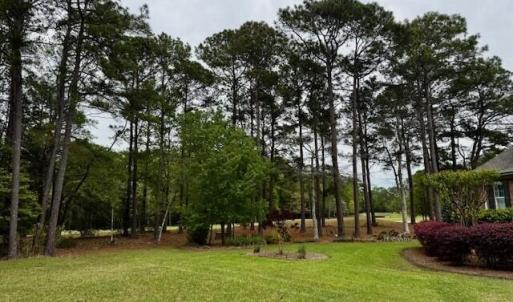 Image 4 - 521 Chatsworth Place