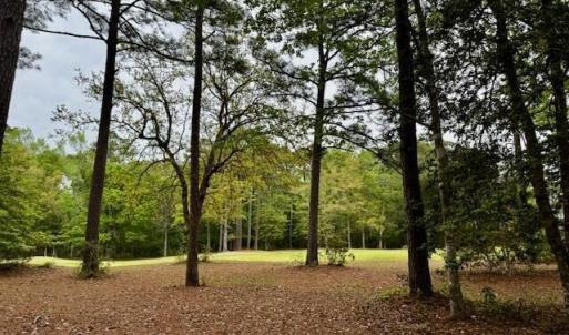 Image 5 - 521 Chatsworth Place