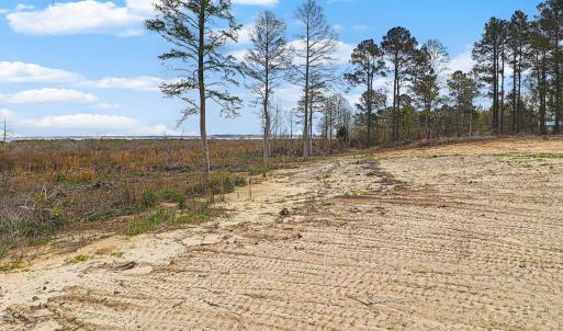 Waterfront Lot in Neuse Point East-13