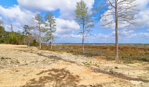 Waterfront Lot in Neuse Point East-12