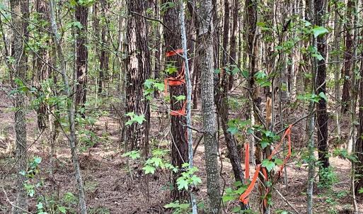 Right Markers