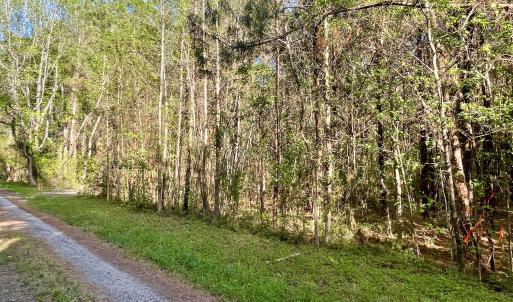 Right Property Line