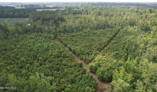 dji_fly_20230710_103806_578_168900019731